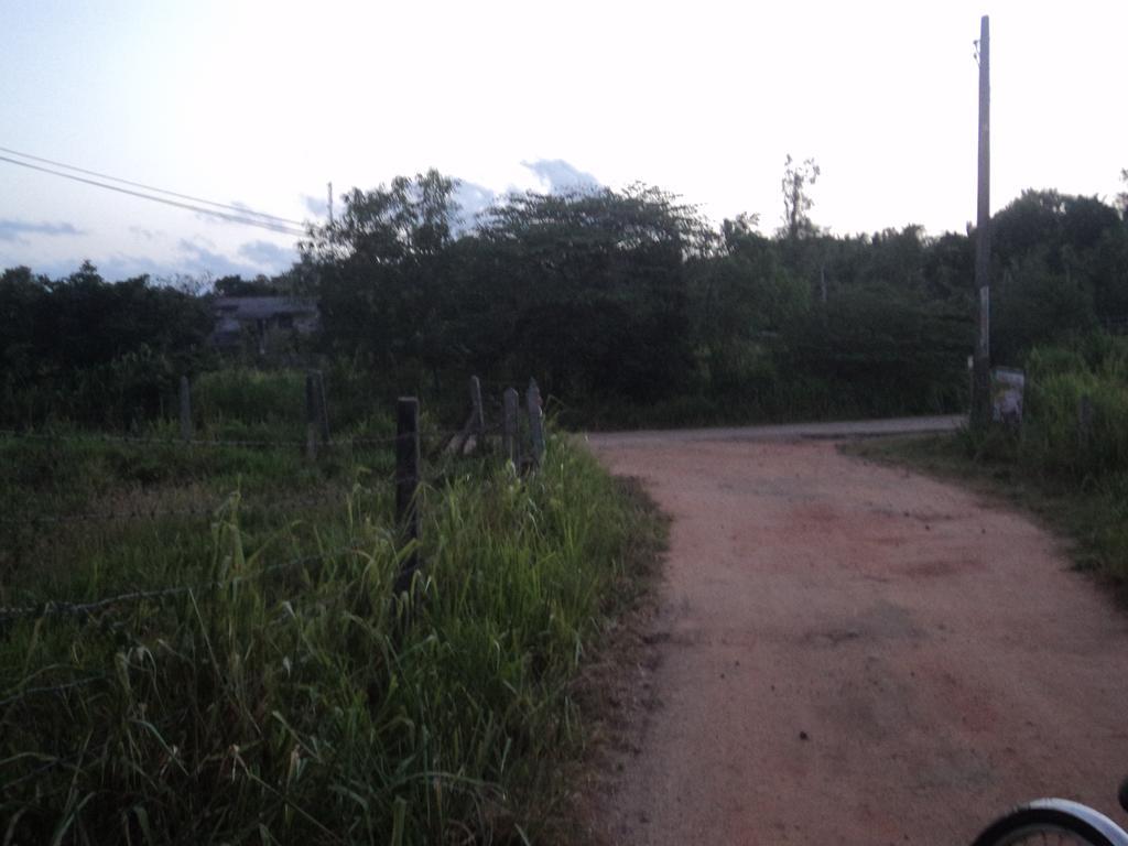 Robert Inn Dambulla Dış mekan fotoğraf