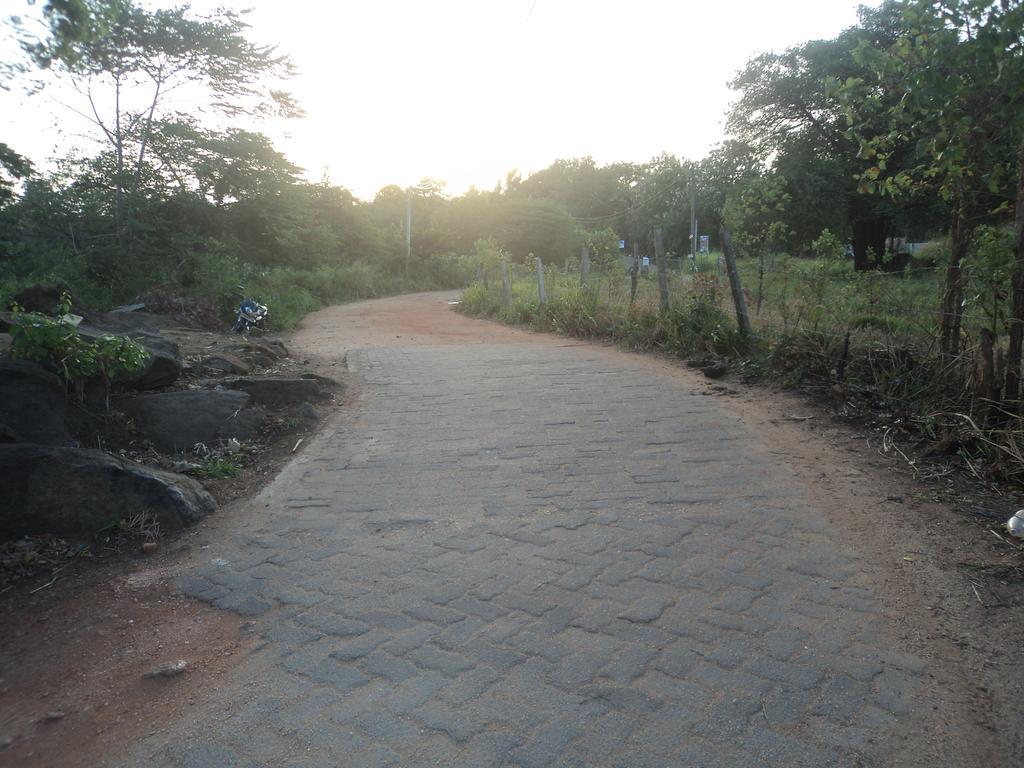 Robert Inn Dambulla Dış mekan fotoğraf